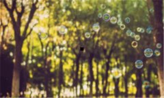 西安电子科技大学录取分数线-西安电子科技大学2019研究生分数线