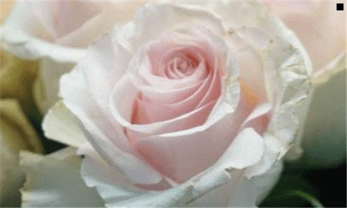 三免费二级域名网