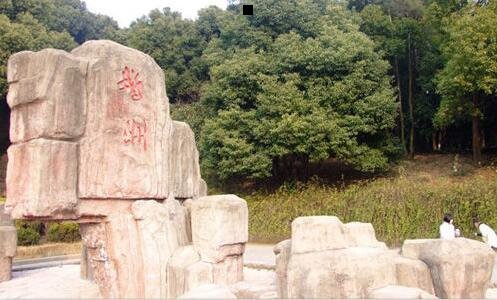 三奇迹8000点圣导加点