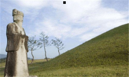 三十大便宜好养的宠物狗