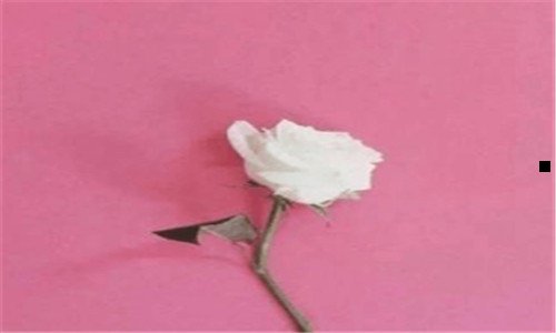 二免费二级域名解析