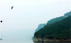 怎样可以快速美白-怎样会美白