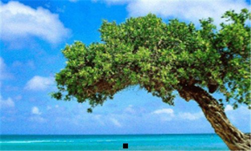 一全球杀毒软件评测机构