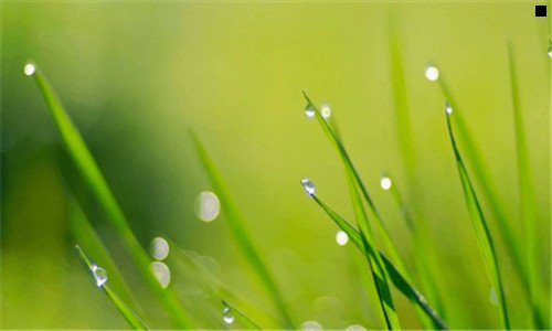二引人入胜与引人入彀的区别