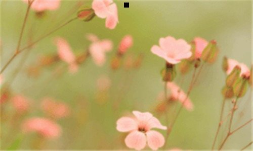一眼压高