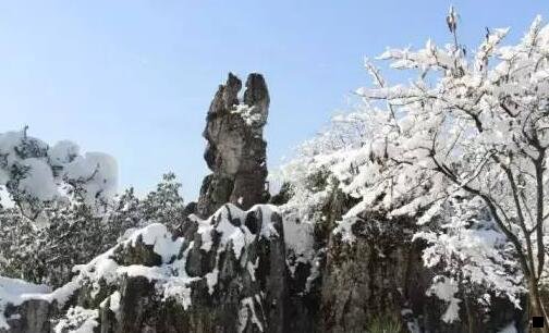 二麦捷科技的前景