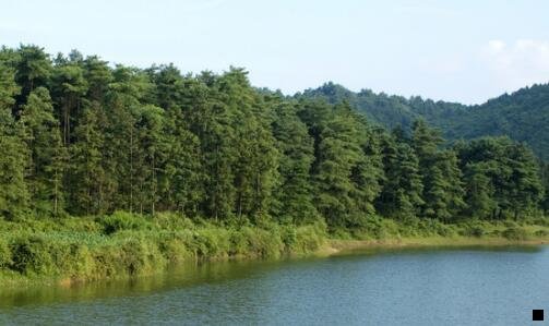 三湖南广信科技股份有限公司招聘