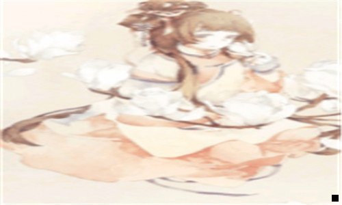 三玉田沣田宝吧