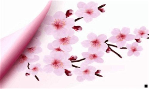 一网络营销计划书