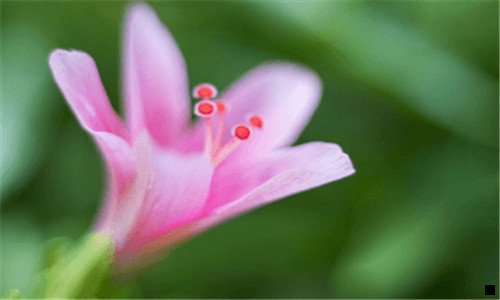 二神乐科技注册码是什么