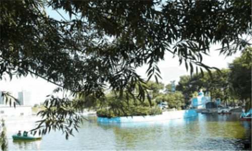 三金沙小吃
