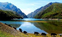 西安阎良地区美食攻略-富平特色美食攻略