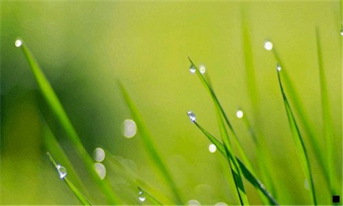 二自制海南炸炸酱料