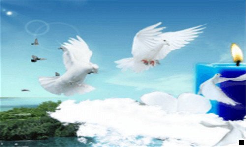 一深圳市友宏科技有限公司