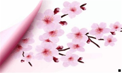 一外蒙古什么时候独立的