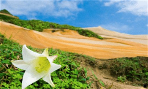 二痤疮跟闭口有什么区别