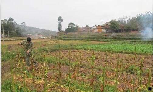 一湛江百姓美食街